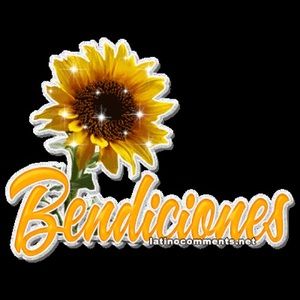 Meet your Posher, Isis